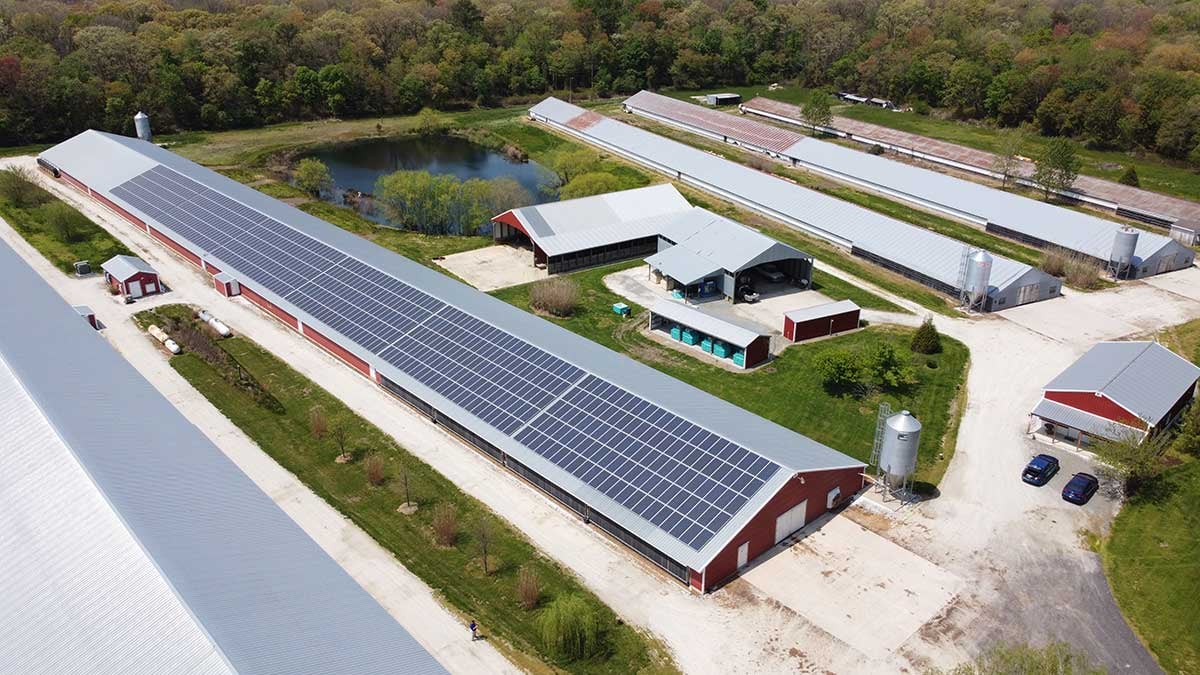 Fox-Chase_Poultry-House-With-Solar-Panels_1