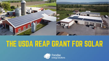 The Ultimate Guide to the USDA REAP Grant for Solar Energy