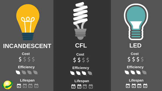 Light Bulb Type Comparison: incandescent, cfl, led