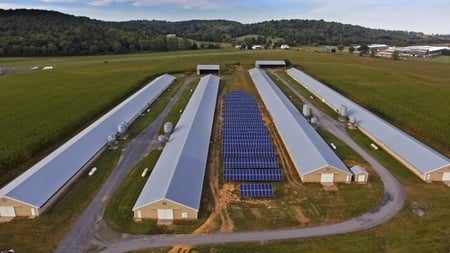 Solar Ground Mount at a Poultry Farm in Virginia