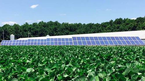 Payback And Roi Of Solar Energy For Farms Businesses