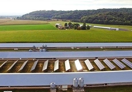 aerial of ground mount solar system in poultry farm
