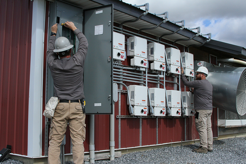 Paradise-Energy-Solar-Installers-In-Action