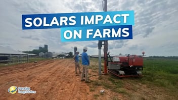 The Impact of Solar on Your Farm