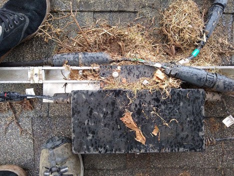 rodent-nest-under-solar-panels