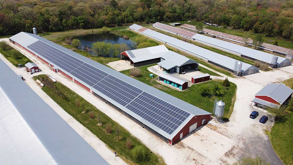 Solar panels on roof of poultry house in Delaware