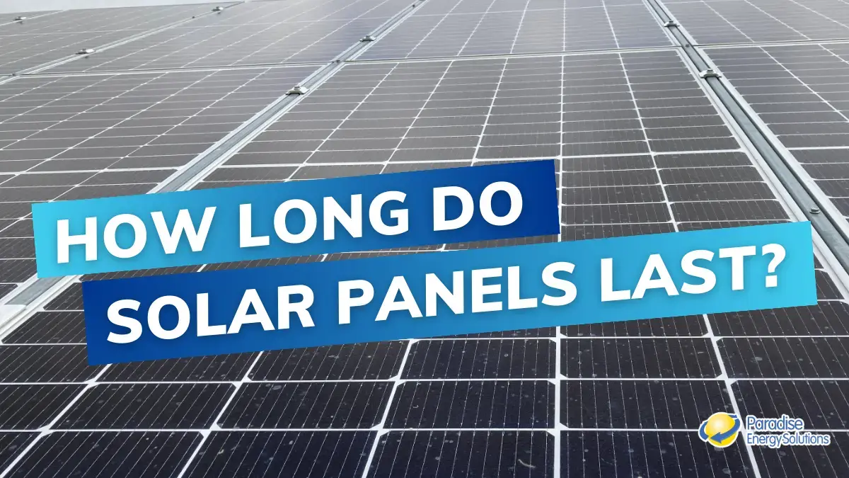 www.paradisesolarenergy.com