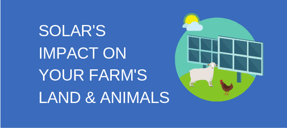 Solar's Impact on Your Farm's Land and Animals