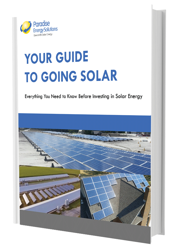 Linda Hogans Pdf Your Survival Guide To The Next Solar Storm - xy9x55f
