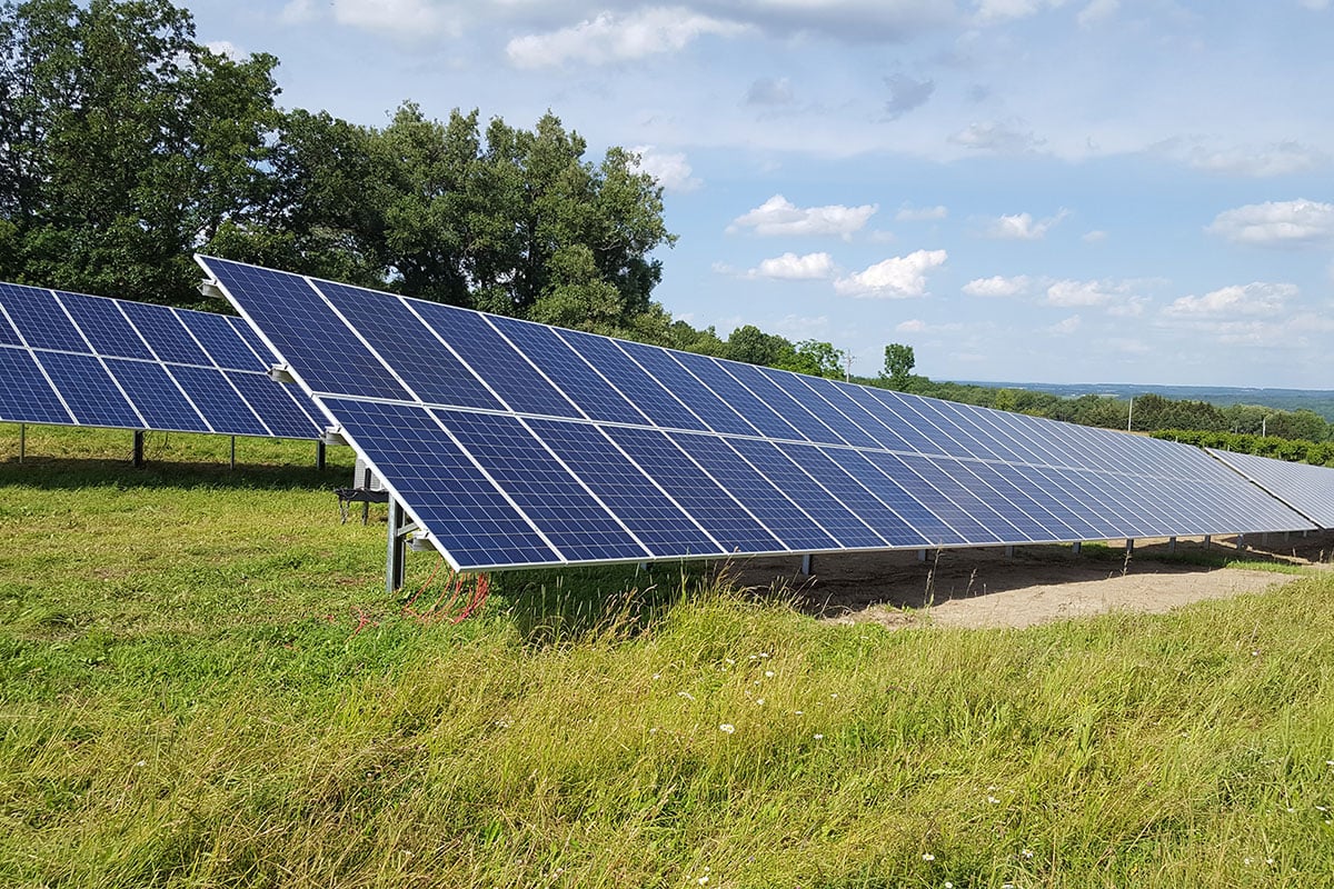 NY Vineyard Powers With Solar