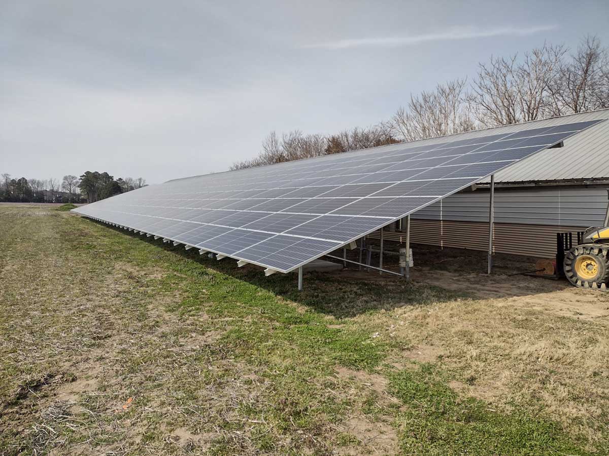 Lewes Poultry Farmer Installs Solar Panels