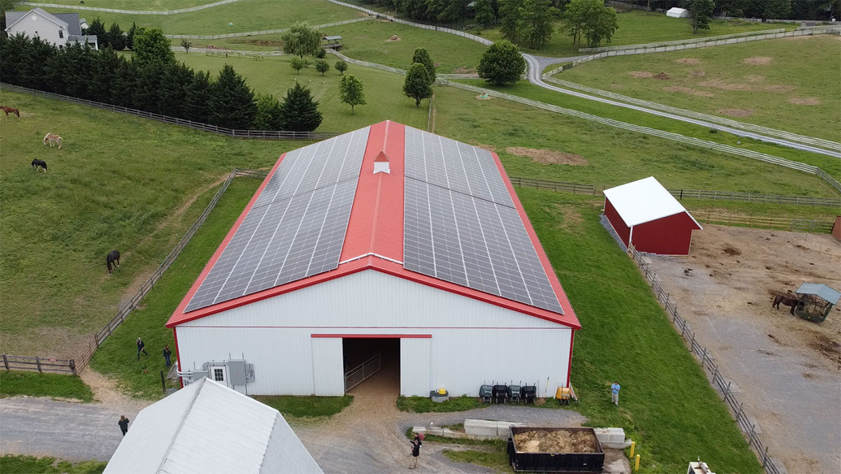 Gentle Giants Horse Rescue installs 410 solar panels