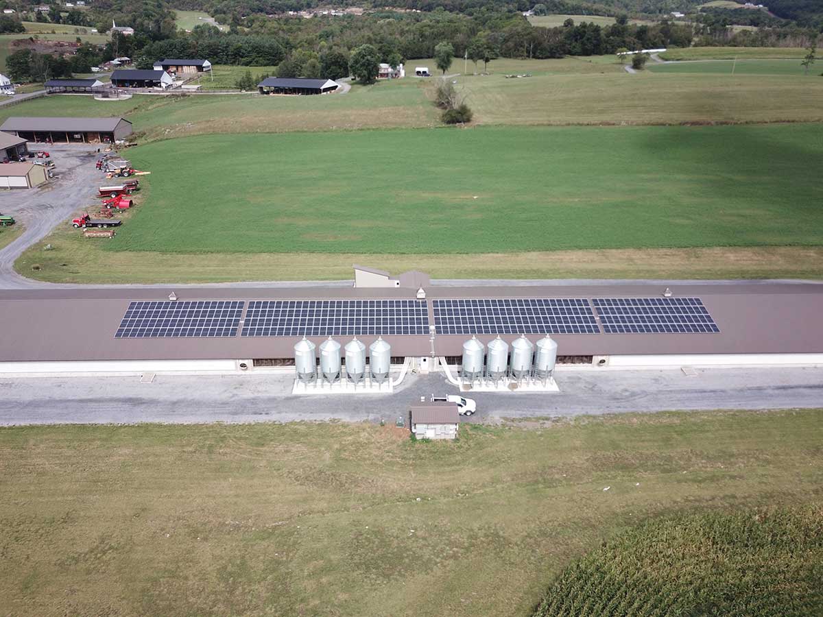 Hog Farmer Installs Solar