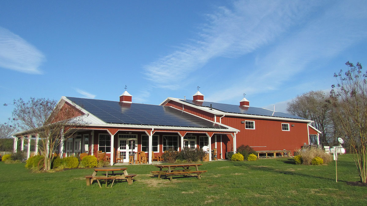 MD Vineyard Energizes with Solar