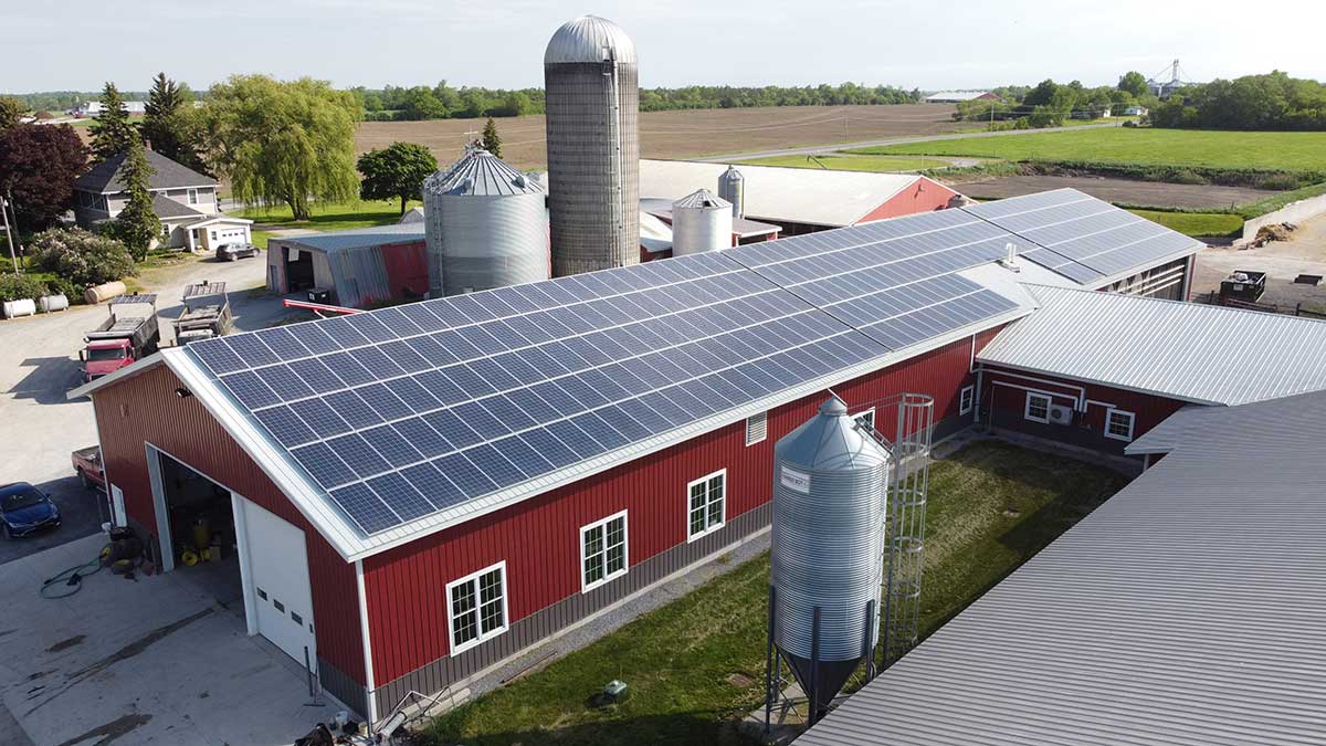 Murrock Farms Goes Solar