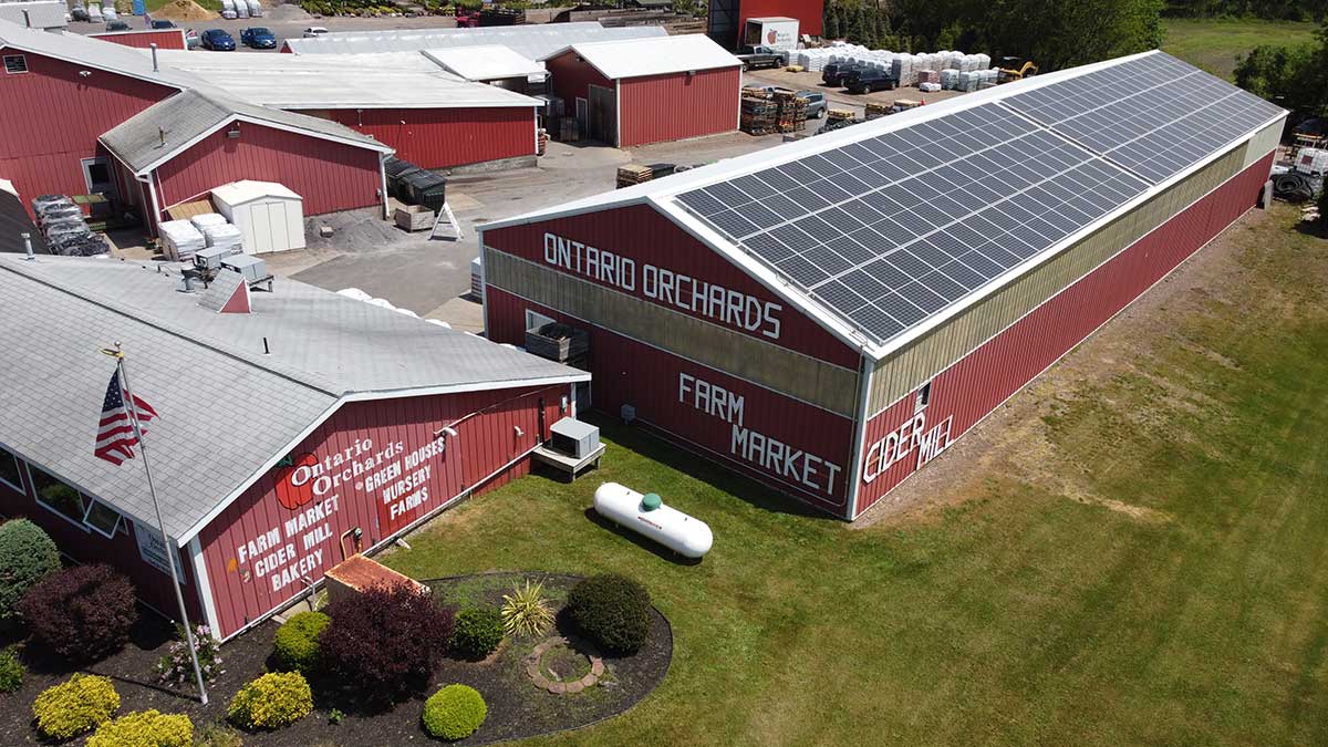 Ontario Orchards Installs Solar