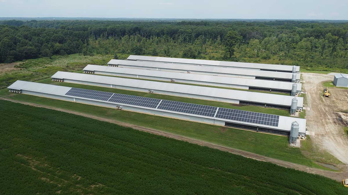 Ohio Poultry Grower Saves With Solar