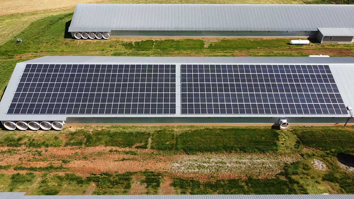 Poultry Grower Installs 260 Solar Panels