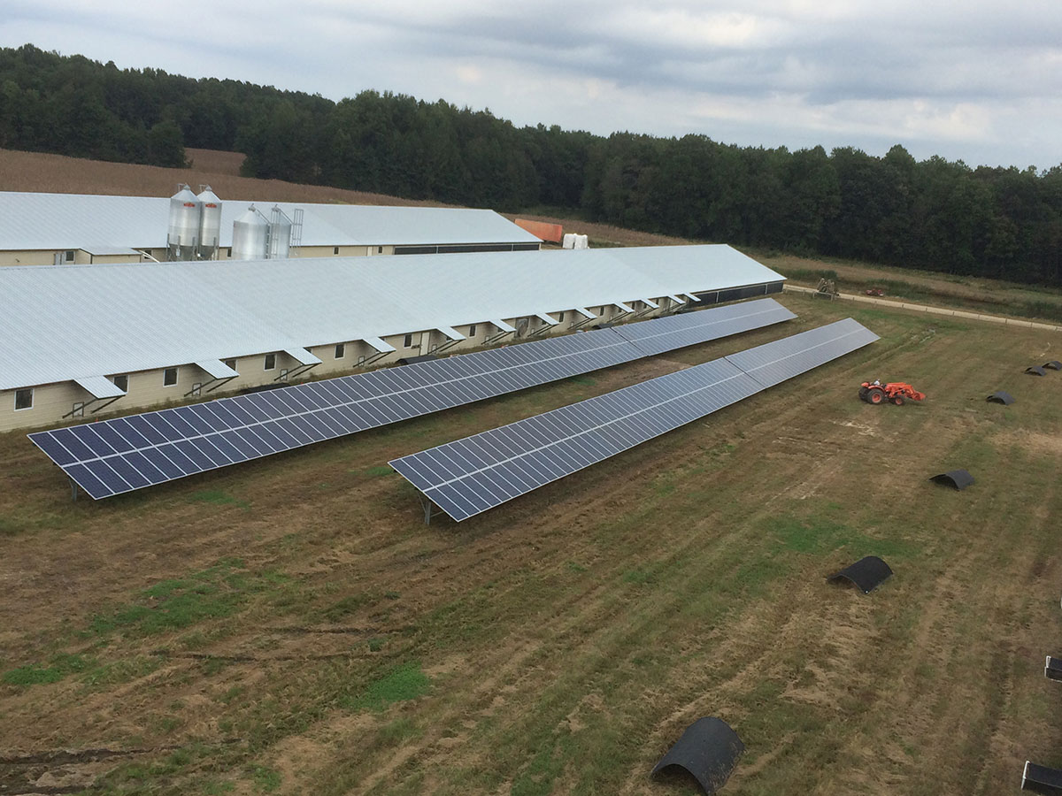 Ground Mount Solar System at Poultry Farm