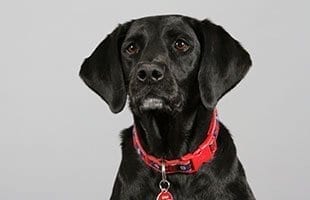 Sam