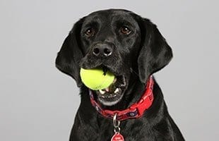 Sam