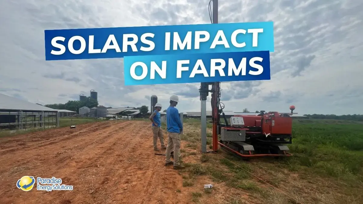 Solar Impact On Farms