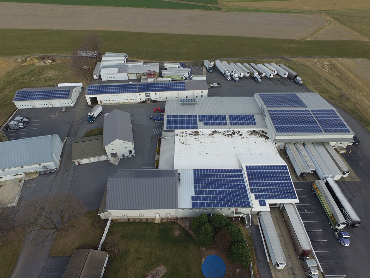 Westfield Egg Farm installs 859 solar panels