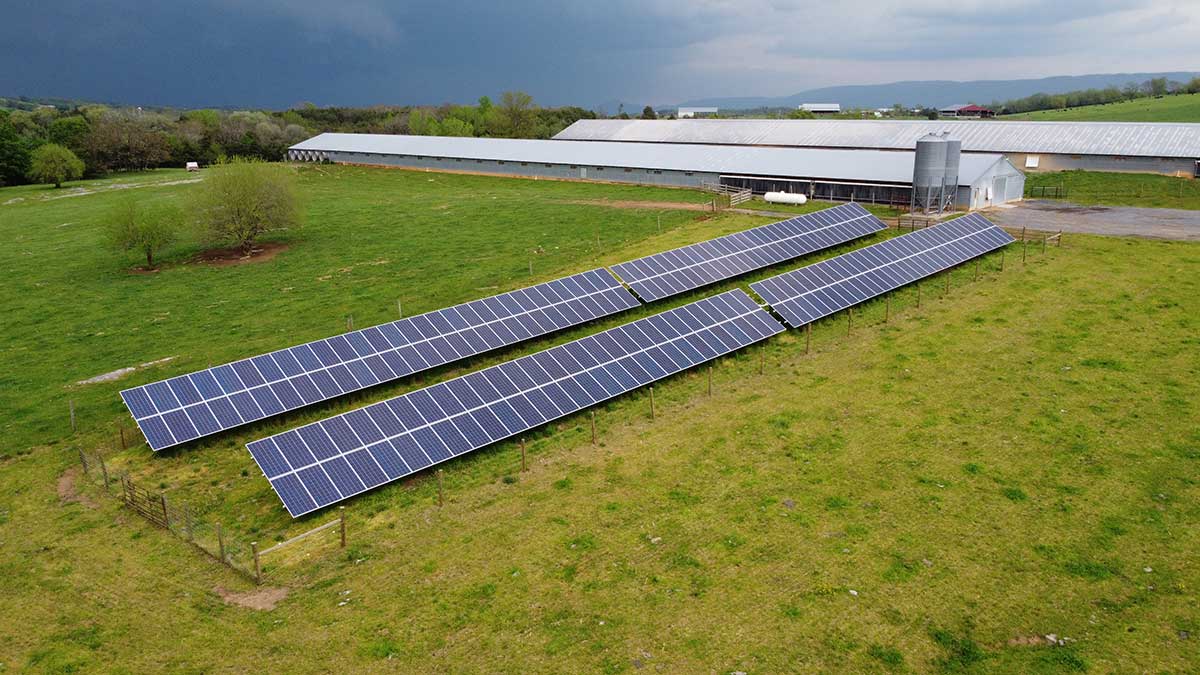 Zenda Poultry Invests In The Future with Solar