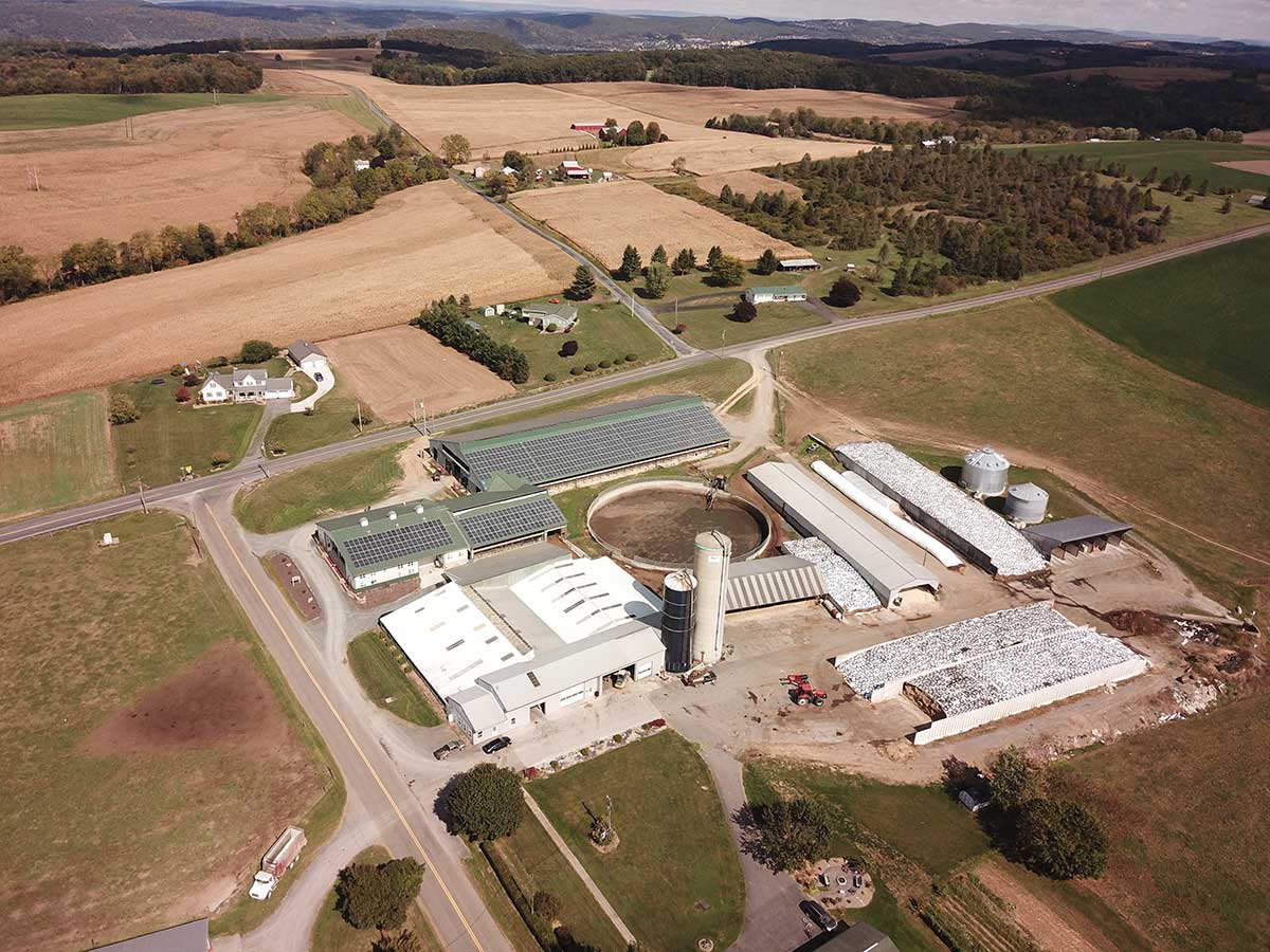 Zimmerman Hilltop Farm installs 645 solar panels
