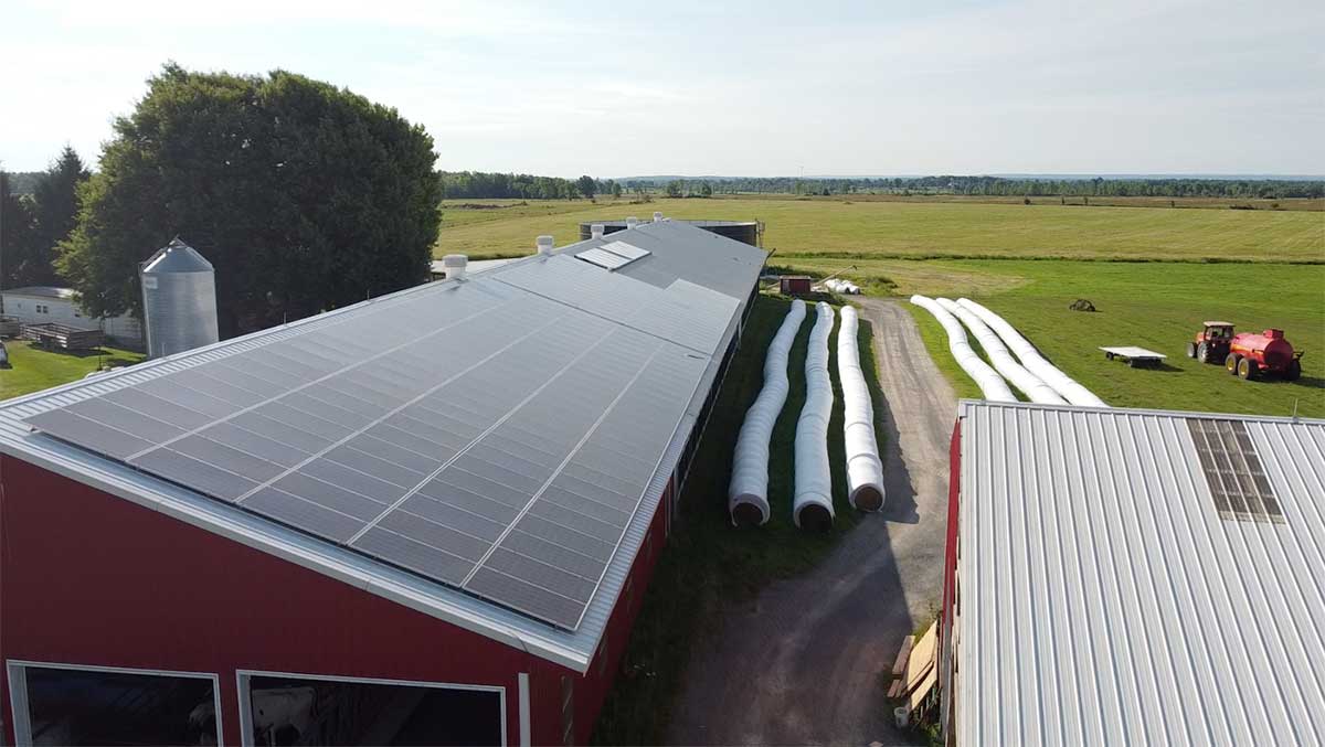 Klock Family Dairy Powers Farm with Solar Panels