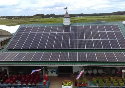 How Sweet It Is 2 11zon