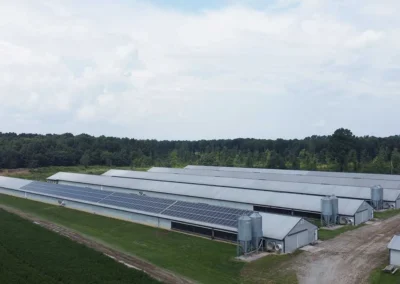 Oyster Road Poultry From The East Pic 2 11zon