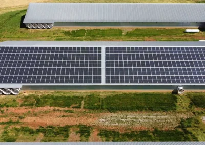 Parker Reynolds 11zon