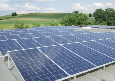 Walnut Creek Cheese OH 4 11zon