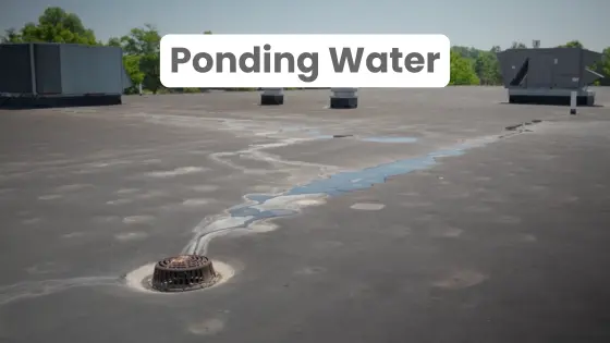 Water ponding on a commercial roof